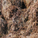 Straw composted 50 percent